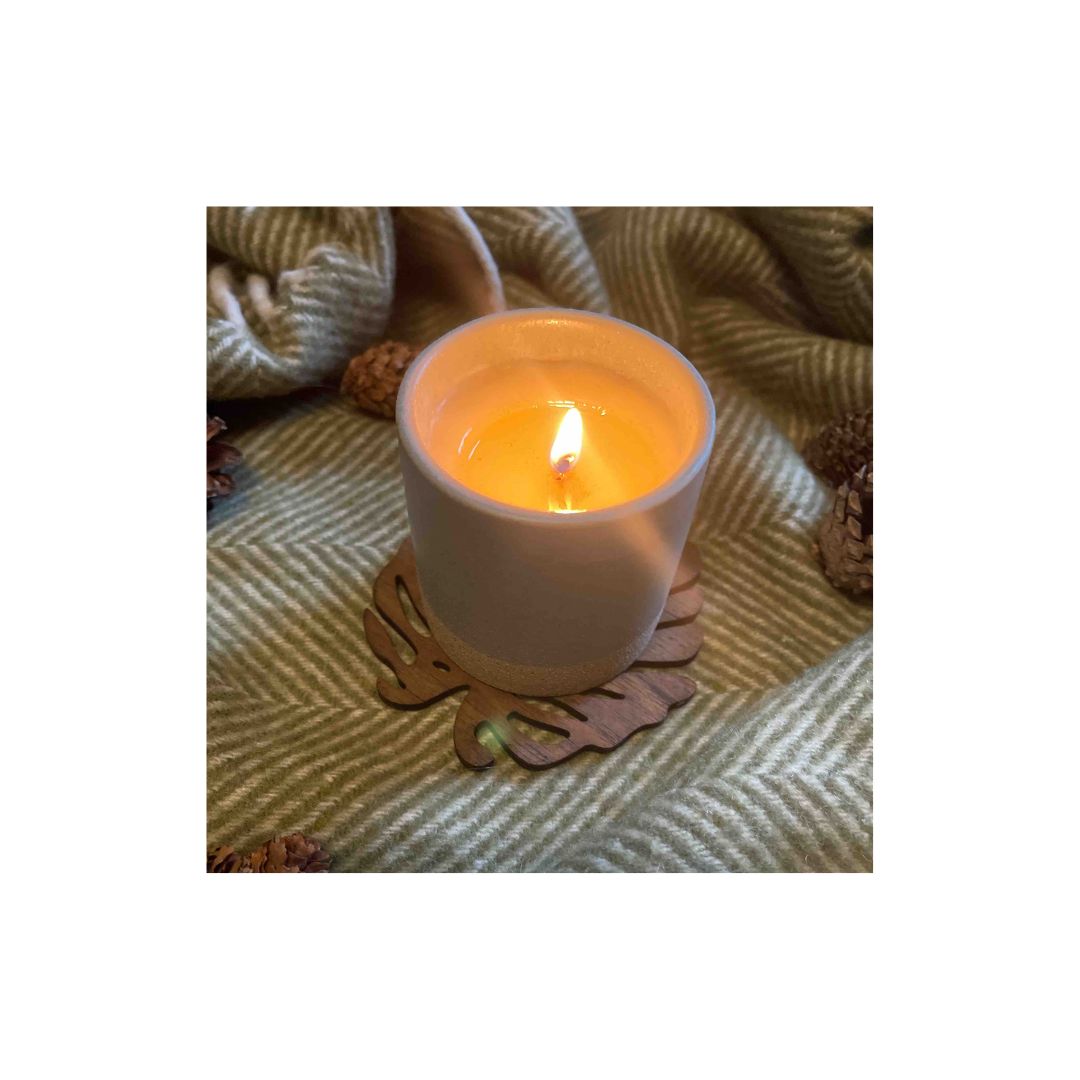 Monstera-Untersetzer aus upgecyceltem Teakholz – Set aus 2