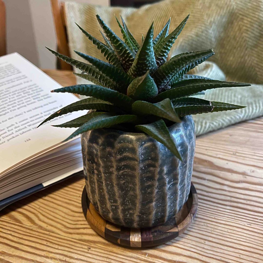 Untersetzer aus upgecyceltem Hartholz – Set aus 2