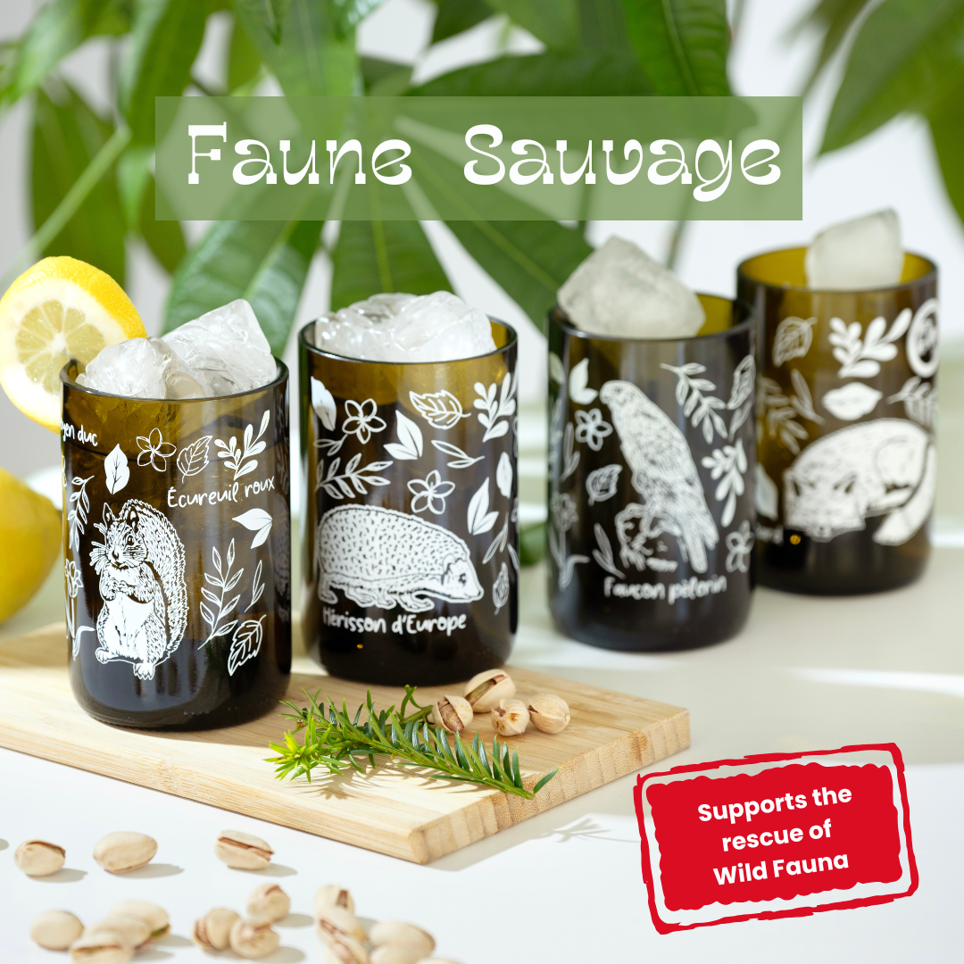 Faune Sauvage - Set de 4 verres