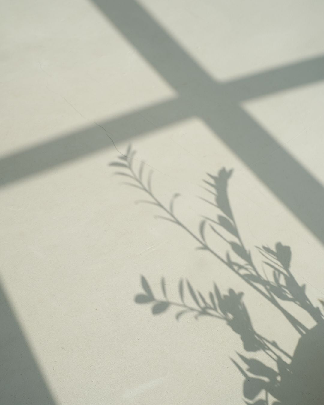 Les minimalistes